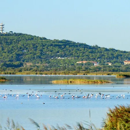 Appartamento Le Sunset-cap Sud-16 By Interhome *